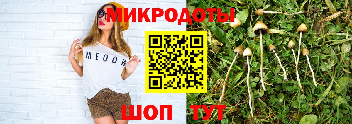 Псилоцибиновые грибы мицелий  Вход с VPN  Псилоцибиновые грибы мухоморы  Татарск 